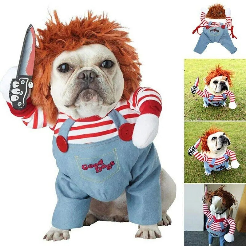 Le costume pour animal de compagnie le plus drôle et le plus effrayant pour Halloween!