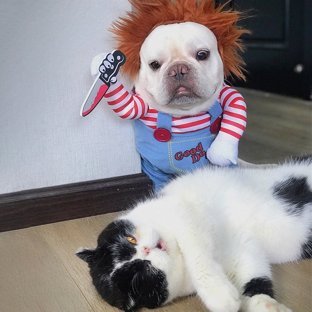 Le costume pour animal de compagnie le plus drôle et le plus effrayant pour Halloween!