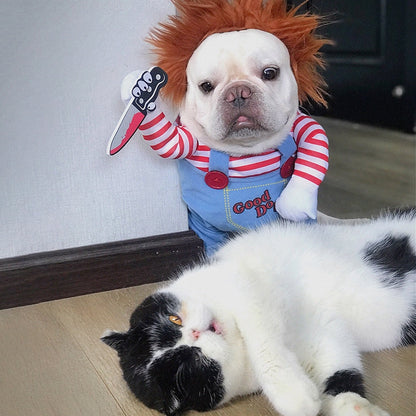 Le costume pour animal de compagnie le plus drôle et le plus effrayant pour Halloween!