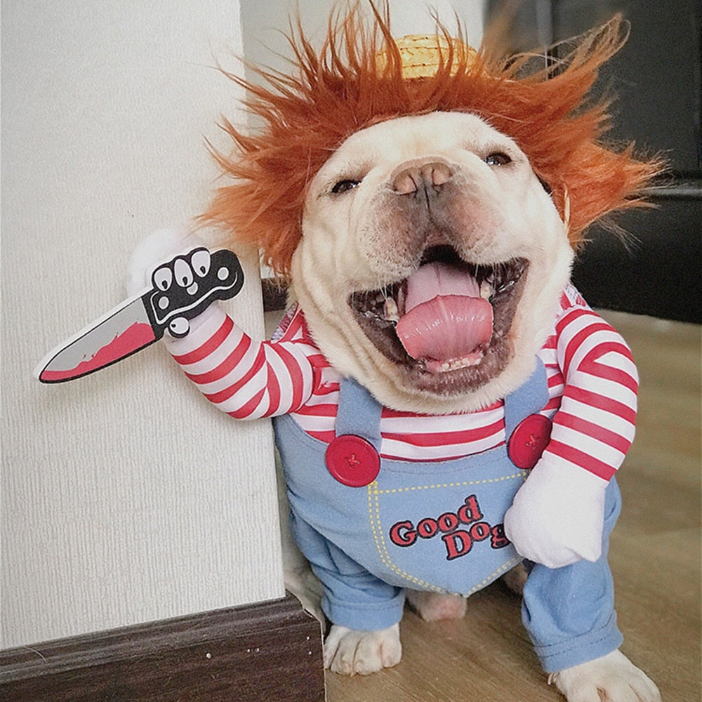 Le costume pour animal de compagnie le plus drôle et le plus effrayant pour Halloween!