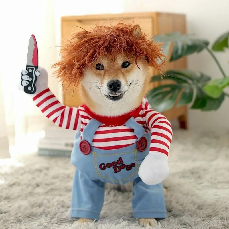 Le costume pour animal de compagnie le plus drôle et le plus effrayant pour Halloween!