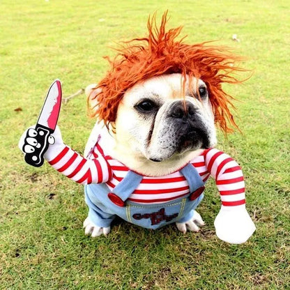 Le costume pour animal de compagnie le plus drôle et le plus effrayant pour Halloween!