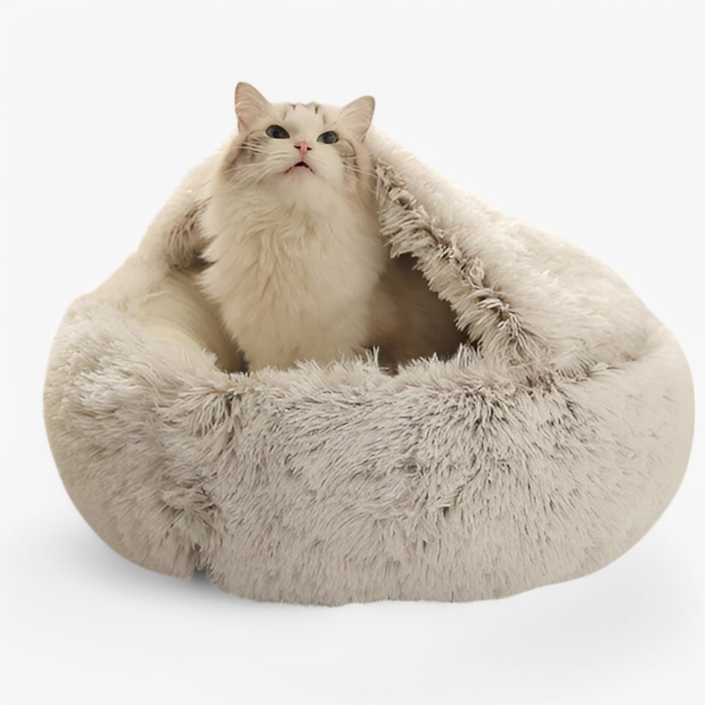 Lit d'hiver moelleux pour animaux avec housse lavable et base antidérapante