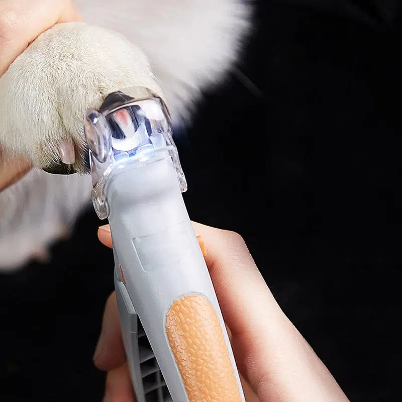 Max – coupe-griffes pour chiens avec capteurs de vaisseaux sanguins