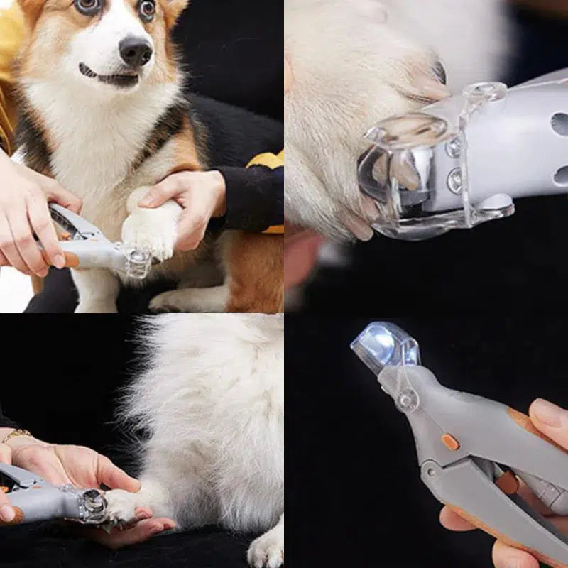 Max – coupe-griffes pour chiens avec capteurs de vaisseaux sanguins