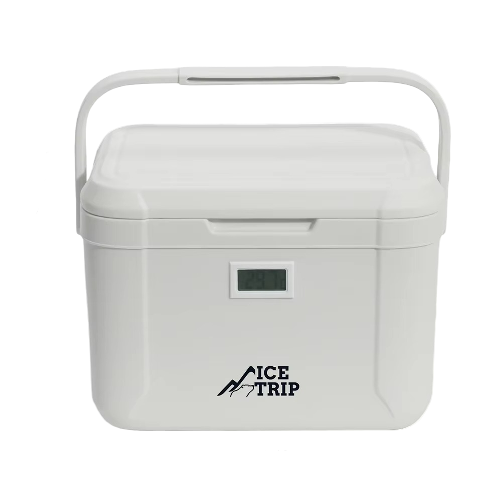 Mini-congélateur portable pour la voiture et le camping, format compact