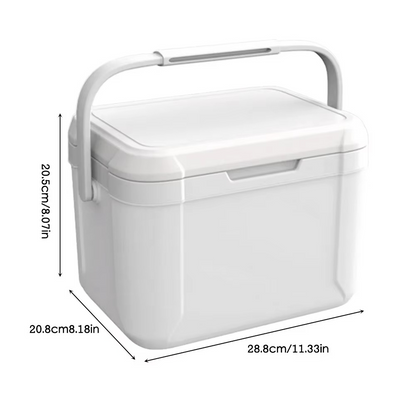 Mini-congélateur portable pour la voiture et le camping, format compact