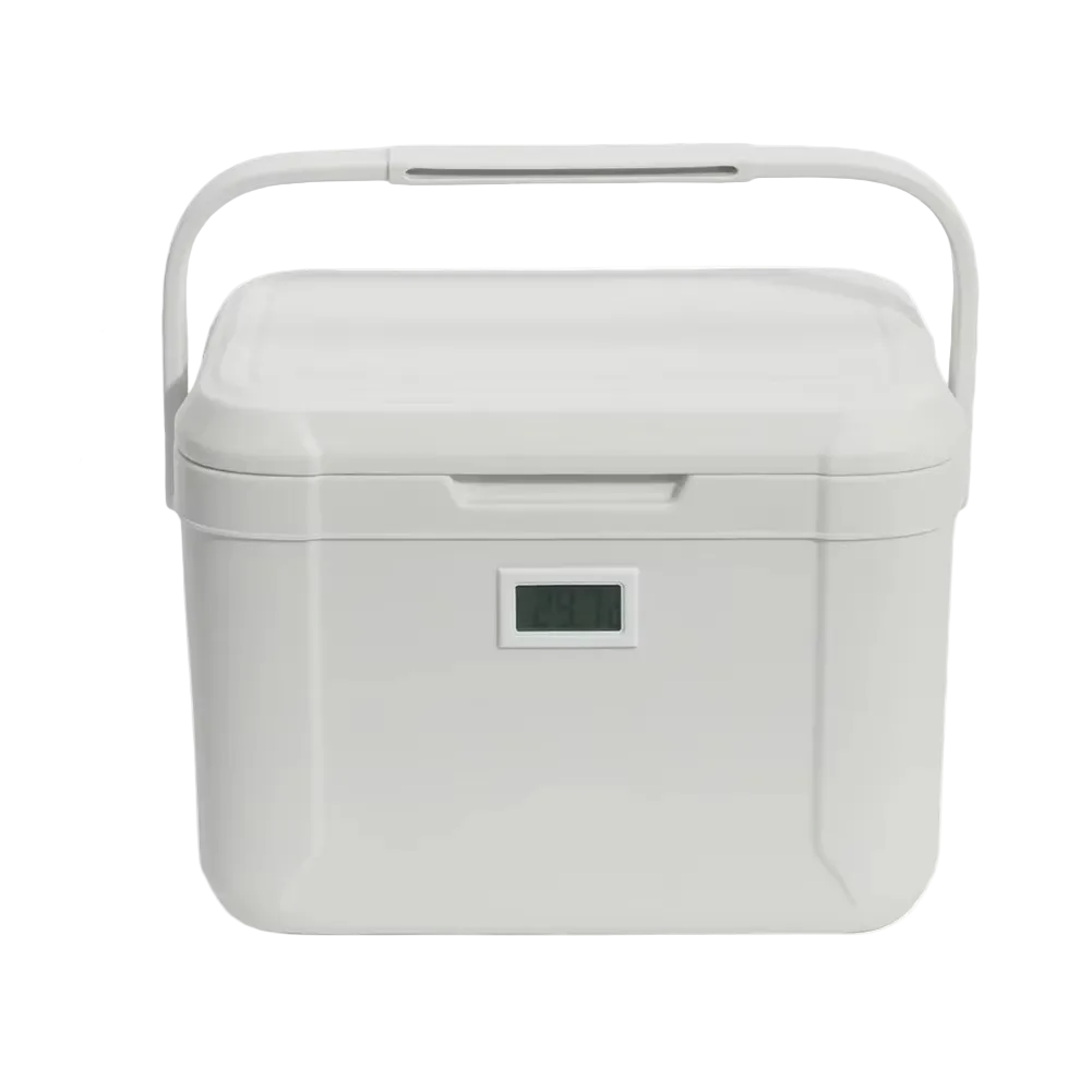Mini glacière portable 5 litres pour la voiture et le camping