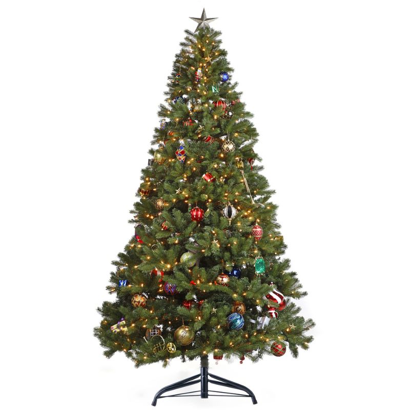 Pied de sapin de Noël