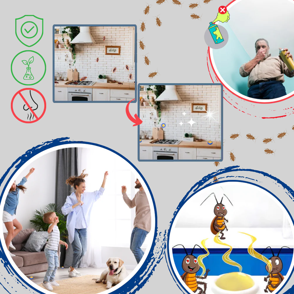 Pièges à cafards sans odeur – solution discrète de lutte antiparasitaire