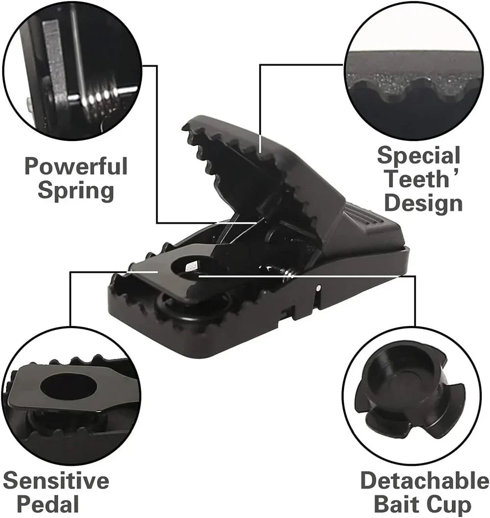Pièges à souris robustes (lot de 6)