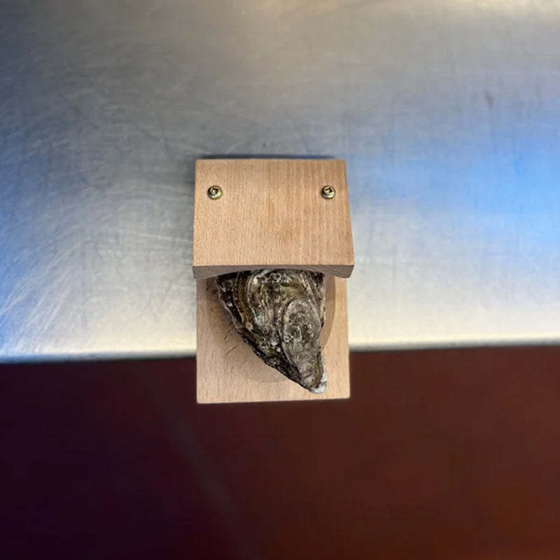 Pince ouvre-huîtres à manche en bois haut de gamme