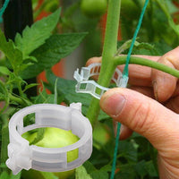 Pinces de support pour plantes en plastique | diamètre intérieur 1 pouce | réutilisables