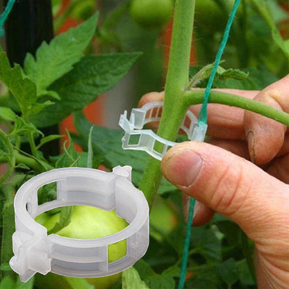 Pinces de support pour plantes en plastique | diamètre intérieur 1 pouce | réutilisables