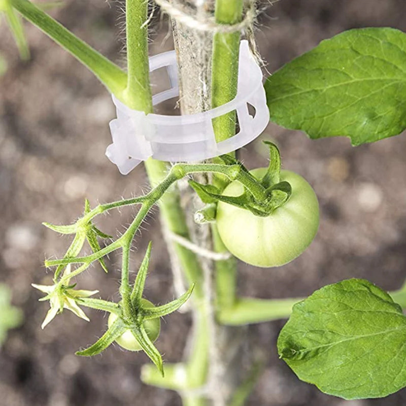 Pinces de support pour plantes en plastique | diamètre intérieur 1 pouce | réutilisables