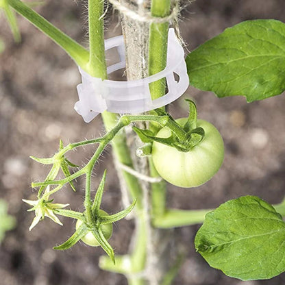 Pinces de support pour plantes en plastique | diamètre intérieur 1 pouce | réutilisables