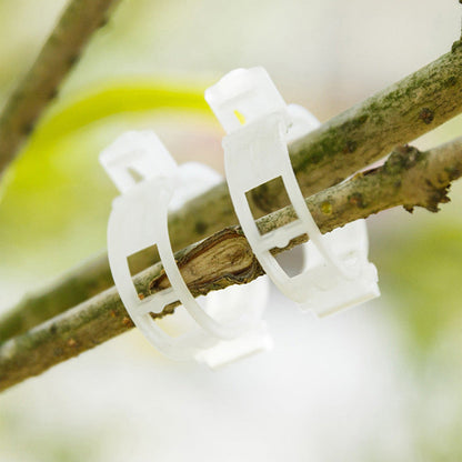 Pinces de support pour plantes en plastique | diamètre intérieur 1 pouce | réutilisables