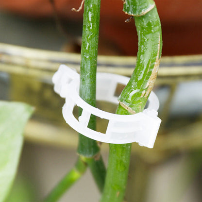 Pinces de support pour plantes en plastique | diamètre intérieur 1 pouce | réutilisables