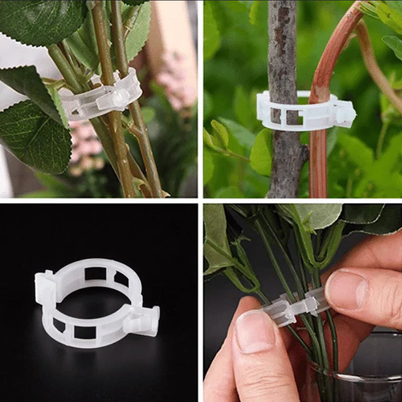 Pinces de support pour plantes en plastique | diamètre intérieur 1 pouce | réutilisables