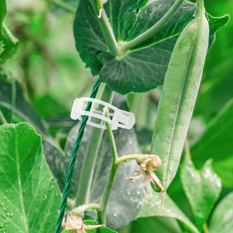 Pinces de support pour plantes en plastique | diamètre intérieur 1 pouce | réutilisables