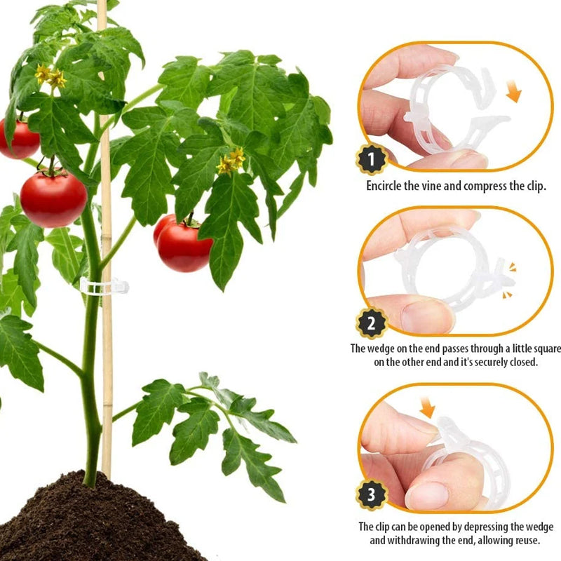 Pinces de support pour plantes en plastique | diamètre intérieur 1 pouce | réutilisables