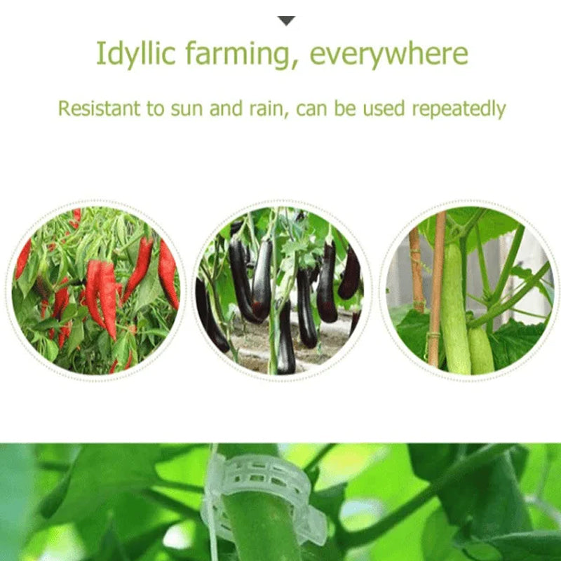 Pinces de support pour plantes en plastique | diamètre intérieur 1 pouce | réutilisables