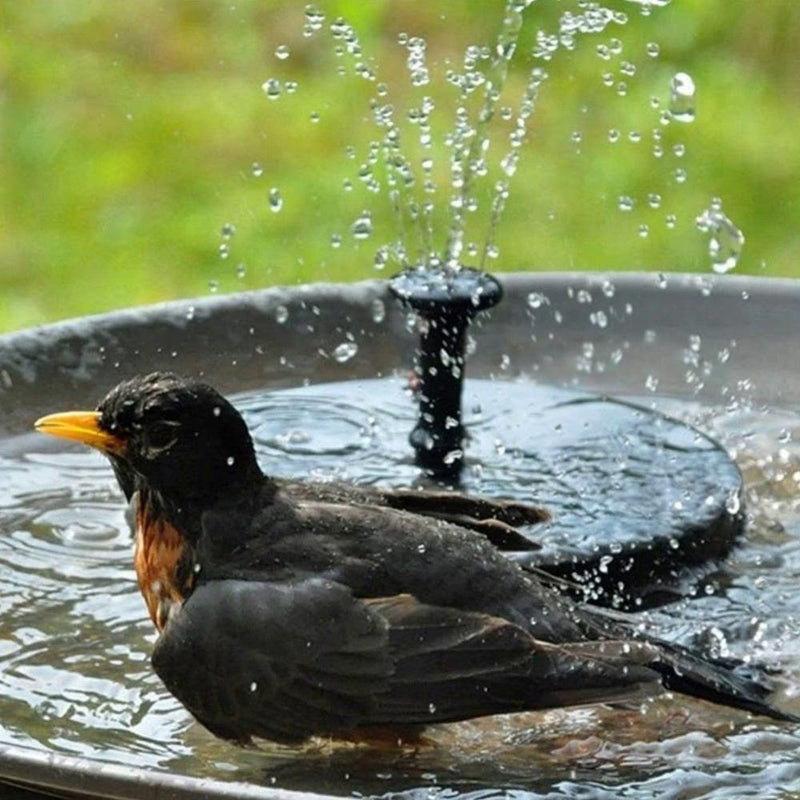 Pompe de fontaine solaire WaterSoft – pour bassin, bain d’oiseaux ou décoration de jardin