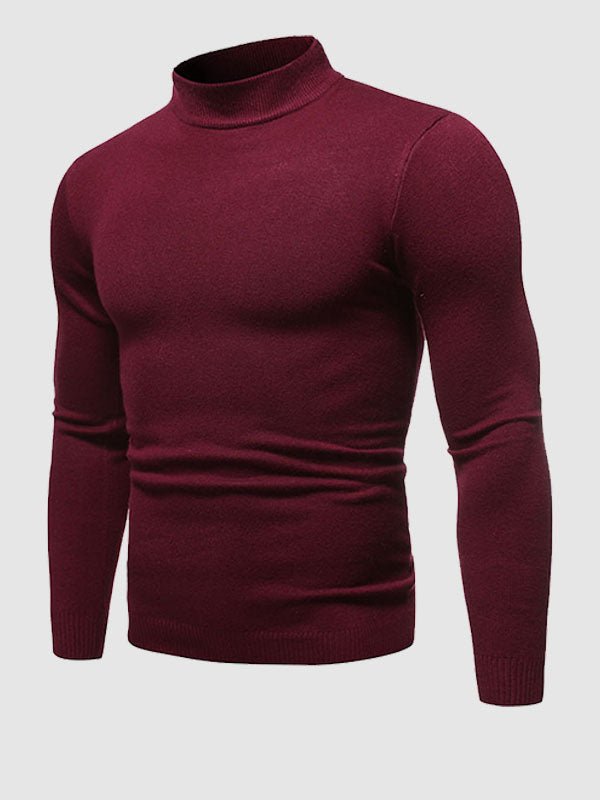 Pull à col roulé coupe slim pour homme