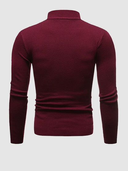 Pull à col roulé coupe slim pour homme