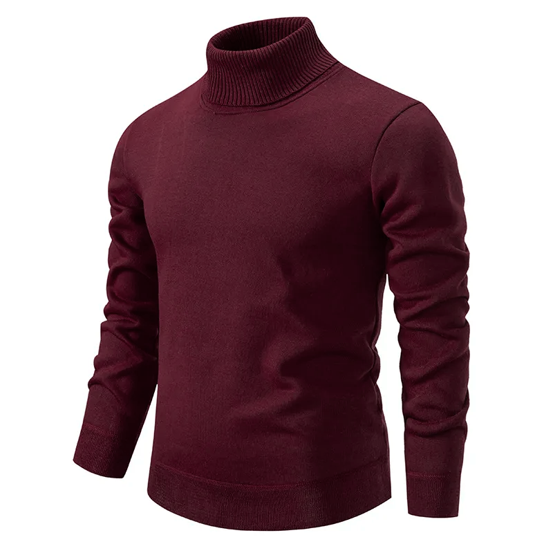 Pull col roulé coupe slim pour homme