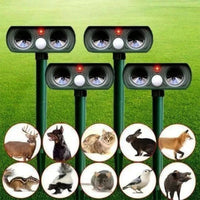 Répulsif solaire infrarouge pour animaux nuisibles