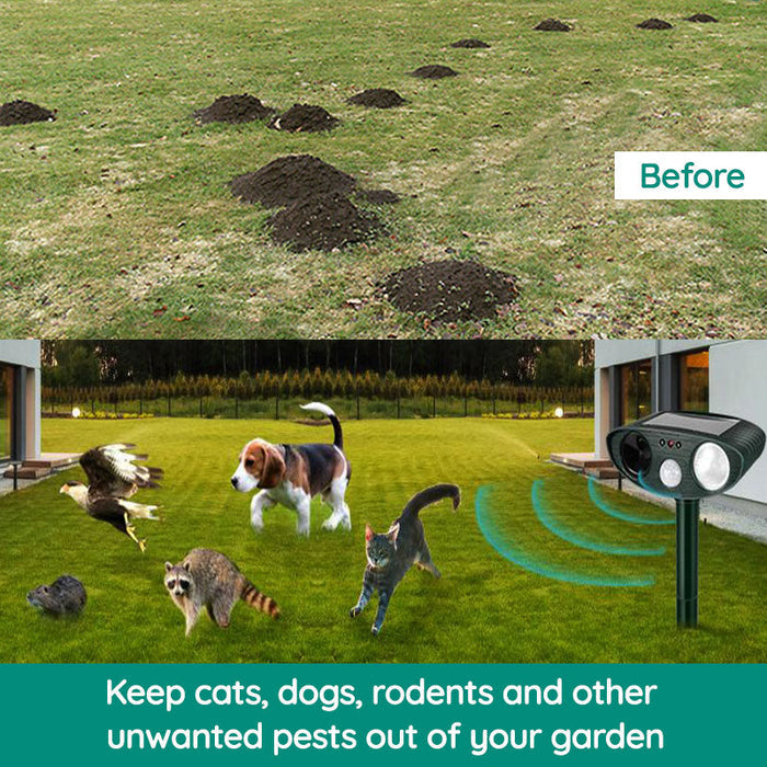 Répulsif ultrasonique extérieur pour ratons laveurs - répulsif ultrasonique pour animaux et nuisibles à énergie solaire - pour éloigner les ratons laveurs en 48 heures