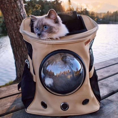 Sac à dos de transport pour chats de grande taille avec fenêtre-bulle