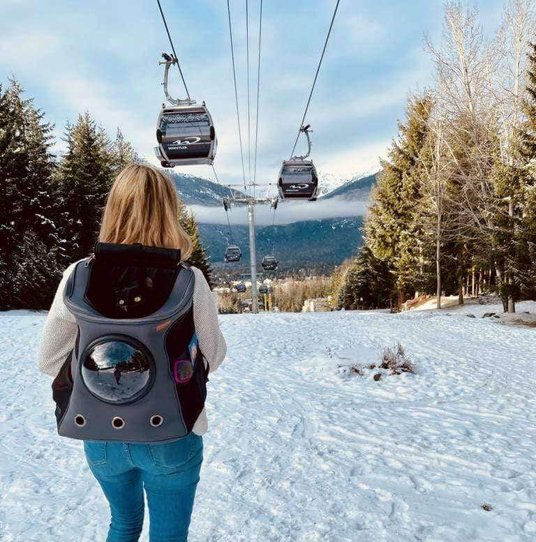 Sac à dos de transport pour chats de grande taille avec fenêtre-bulle