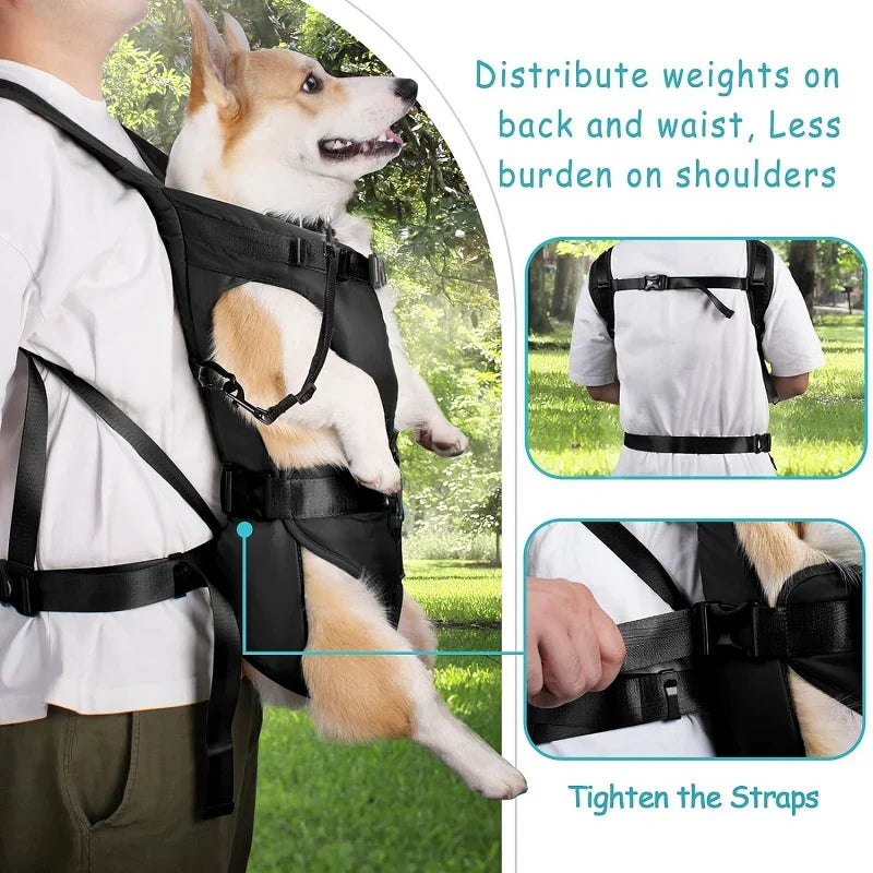 Sac à dos ventral de transport pour chien pour les aventures en plein air