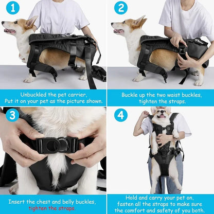 Sac à dos ventral de transport pour chien pour les aventures en plein air