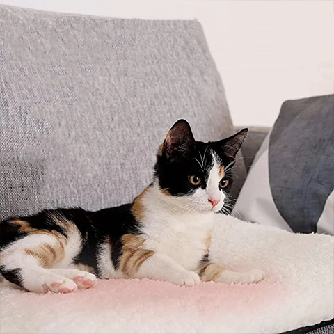 Tapis auto-chauffant pour chat - luxueux, pelucheux, sans électricité