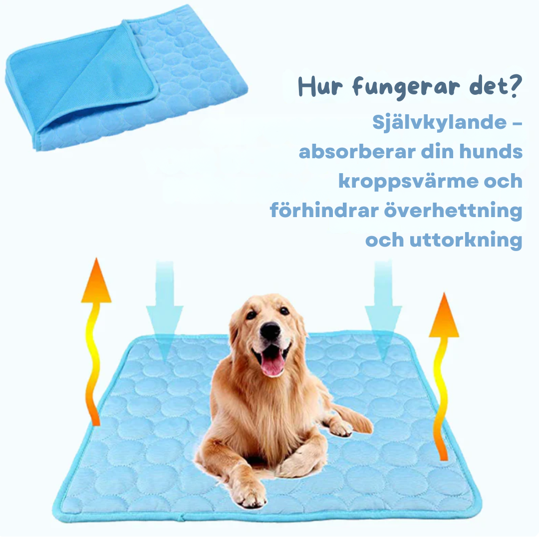 Tapis rafraîchissant