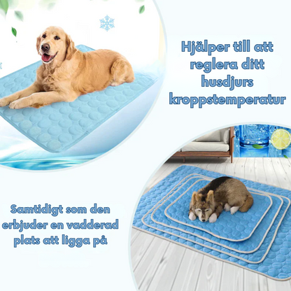 Tapis rafraîchissant