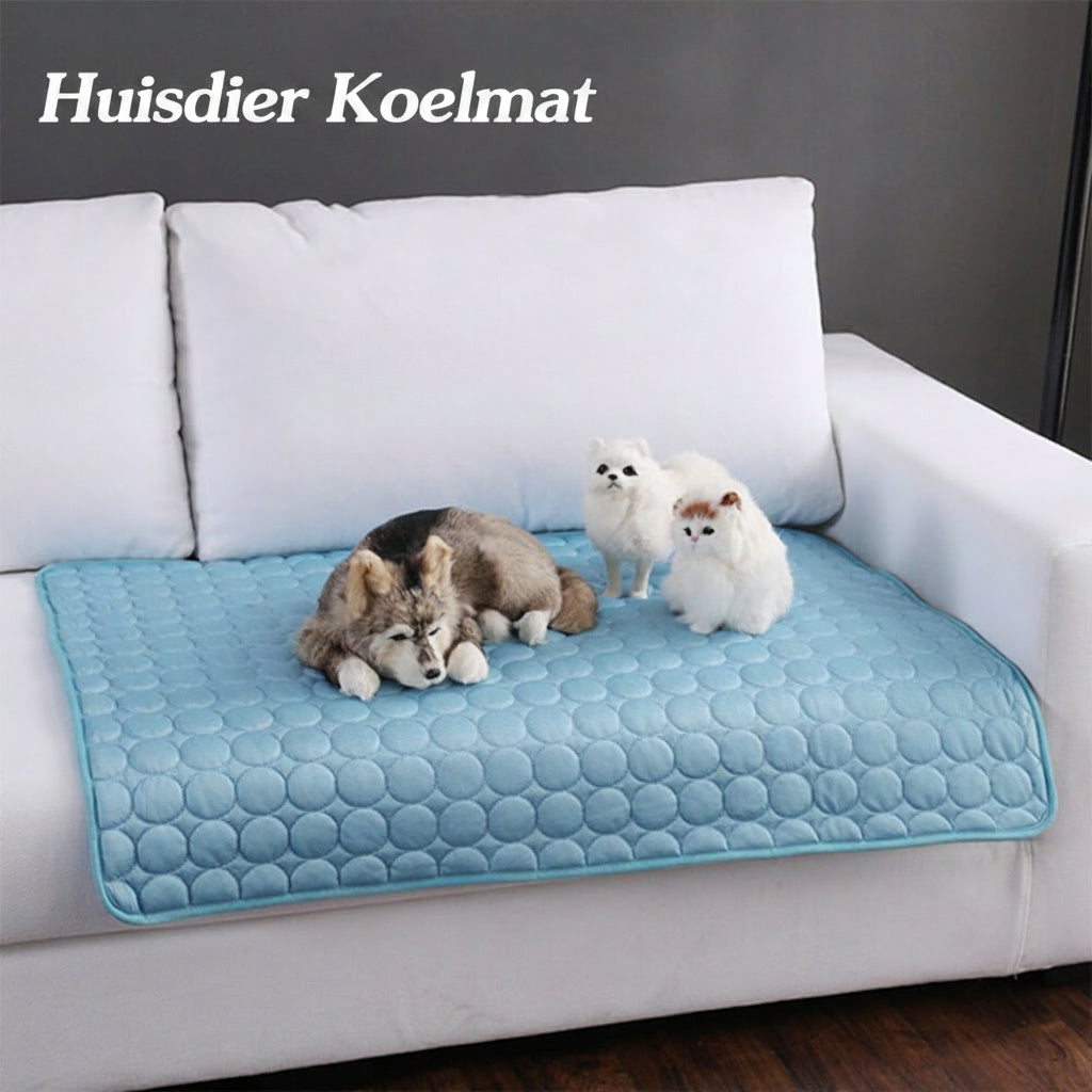 Tapis rafraîchissant en soie glacée pour animaux de compagnie (chien ou chat) pour l’été