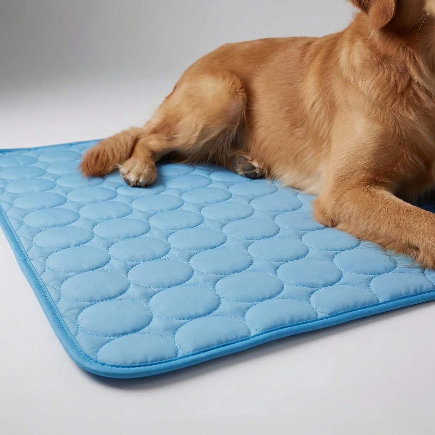 Tapis rafraîchissant matelassé pour animaux de compagnie