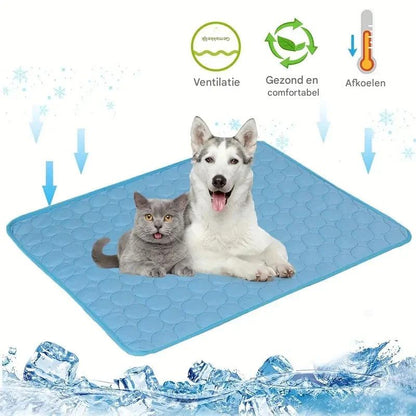 Tapis rafraîchissant pour chiens et chats