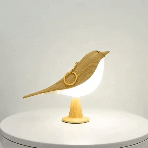 Une lampe qui apporte nature, lumière et calme à votre intérieur