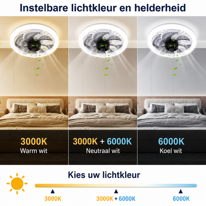 Ventilateur de luxe avec lampe