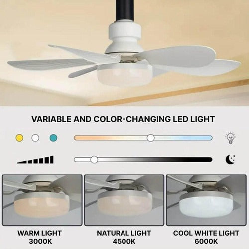 Ventilateur de plafond